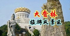 啊啊啊啊不要插了免费视频中国浙江-绍兴大香林旅游风景区